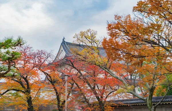 Oszaka templom pagoda vörös juharfalevél vagy őszi lombozat b — Stock Fotó