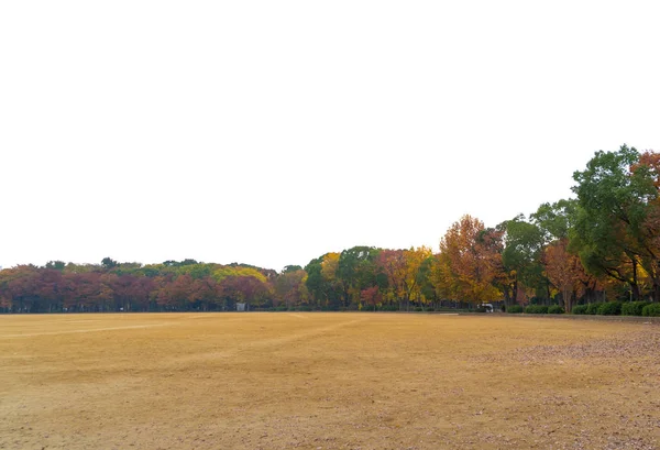 Park bahçesinde kırmızı akçaağaç silueti ve çimen tarlası izole. — Stok fotoğraf