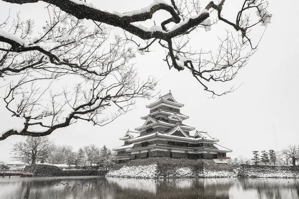 Matsumoto Castle with tree branches and snow in winter season, Nagano, Japan. Architecture landscape background in travel trip concept. Landmark.