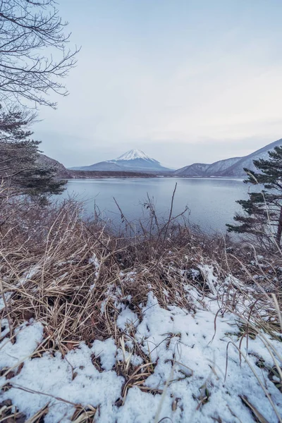Lake Saiko Fuji Fem Sjö Mountain Fuji Med Snö Vintersäsongen — Stockfoto