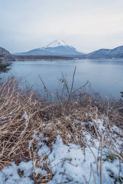 Lake Saiko, Fuji five lake.Mountain Fuji with snow in winter season near Fujikawaguchiko, Yamanashi, Japan. Nature landscape background.