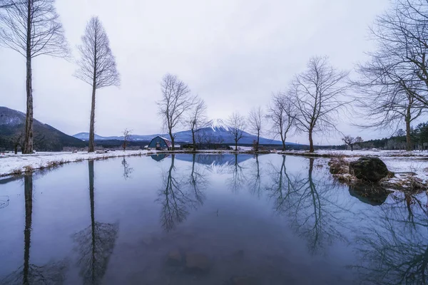 Horská Fuji Suchými Stromy Sněhem Fumotoppara Camping Grounds Zimním Období — Stock fotografie
