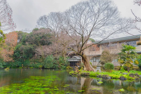 Trees in Japanese garden with lake or pond in Fujisan Hongu Sengen Taisha temple, Fujinomiya, Shizuoka city, Japan. Tourist attraction. Architecture landscape background.