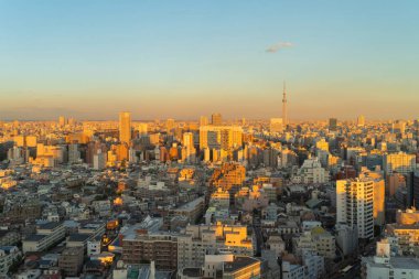 Tokyo Skytree 'nin hava manzarası. Şehir merkezi, Japonya 'nın şehir merkezi. Asya 'nın akıllı şehrinde apartmanlar ve bölge. Yüksek gökdelenler gün batımında binalar. Mimari manzara geçmişi.