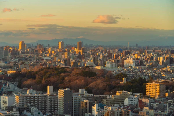 Tokyo Şehir Merkezinin Hava Manzarası Japonya Nın Şehir Merkezi Asya — Stok fotoğraf