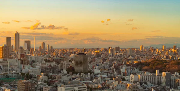 Вид Воздуха Центр Токио Город Японии Квартиры Жилой Район Умном — стоковое фото