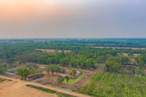 Bovenaanzicht Vanuit Lucht Van Weelderige Groene Bomen Rivier Meer Van — Stockfoto