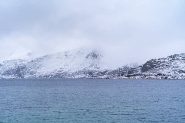 Lofoten Adaları, Nordland Bölgesi, Norveç, Avrupa. Beyaz karlı dağ tepeleri ve ağaçlar, kış mevsiminde doğa manzarası. Meşhur turistik cazibe