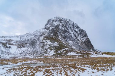 Buzul. Lofoten adalarındaki buz gölü, Nordland, Norveç, Avrupa. Beyaz karlı dağ tepeleri ve ağaçlar, kış mevsiminde doğa manzarası. Meşhur turistik cazibe