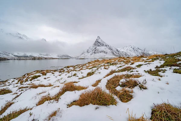 Lofoten群岛 北欧县 白色的雪山小山小树 冬季的自然景观背景 著名的旅游胜地 — 图库照片