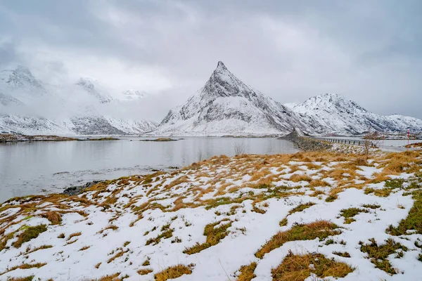 Lofoten群岛 北欧县 白色的雪山小山小树 冬季的自然景观背景 著名的旅游胜地 — 图库照片