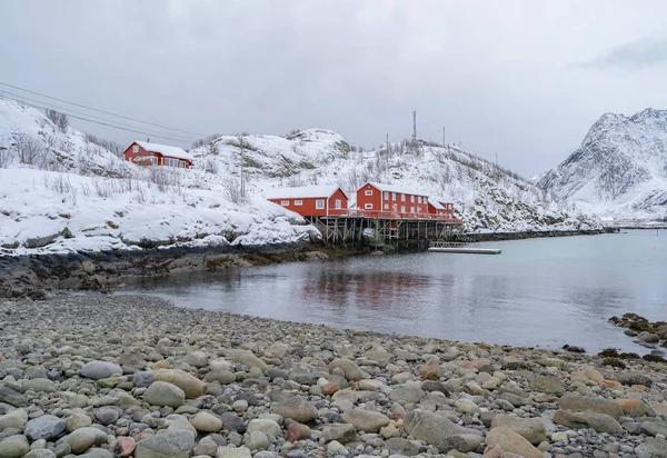 Reine City Deki Norveç Balıkçı Köyü Lofoten Adaları Nordland Norveç — Stok fotoğraf