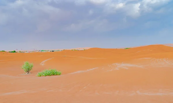 Сафари Красной Пустыне Песчаной Дюной Дубае Объединенных Арабских Эмиратах Оаэ — стоковое фото