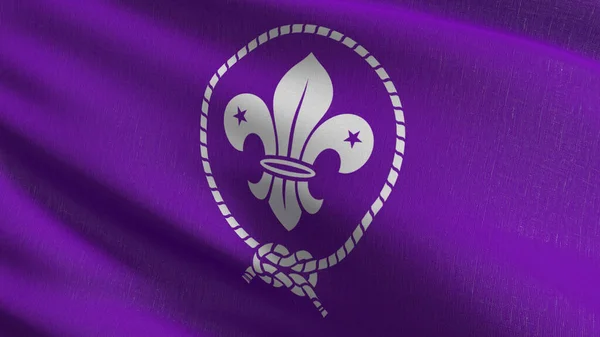 Bandera Organización Mundial Del Movimiento Scout Wosm Mayor Organización Internacional — Foto de Stock