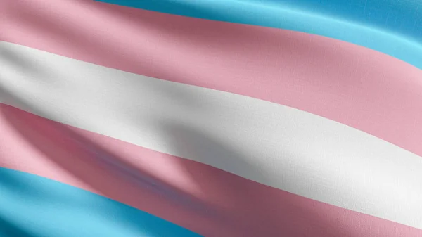 Bandeira Transgênero Comunidade Lgbt Todo Mundo Que Adotaram Bandeira Arco — Fotografia de Stock