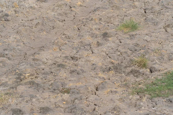 Bodem Vruchtbare Grond Oppervlak Close Van Natuurlijke Textuur Achtergrond Bovenaanzicht — Stockfoto