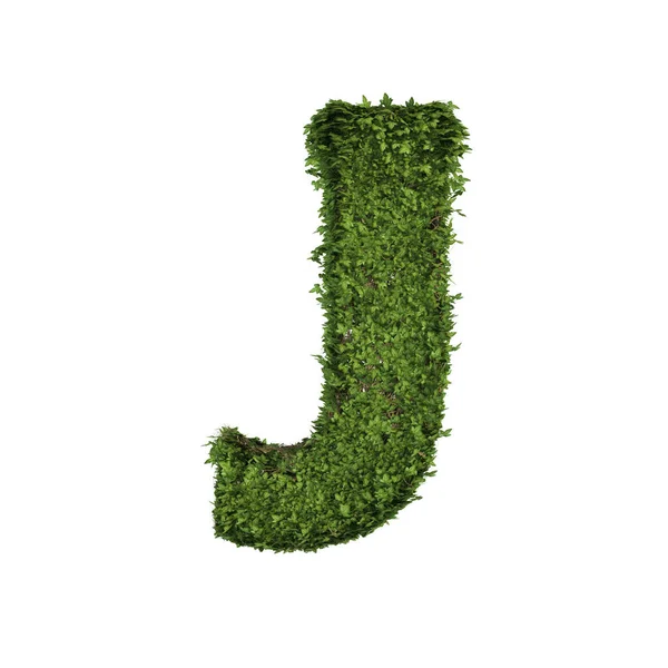 葉を持つアイビー植物 手紙Jを形成緑のクリーパーブッシュとブドウ 自然界で白に隔離された英語のアルファベットテキストフォント文字 成長と環境の概念 3Dツリーイラスト — ストック写真