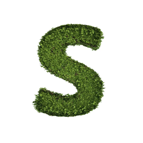 葉を持つアイビー植物 手紙Sを形成緑のクリーパーブッシュとブドウ 自然界で白に隔離された英語のアルファベットテキストフォント文字 成長と環境の概念 3Dツリーイラスト — ストック写真