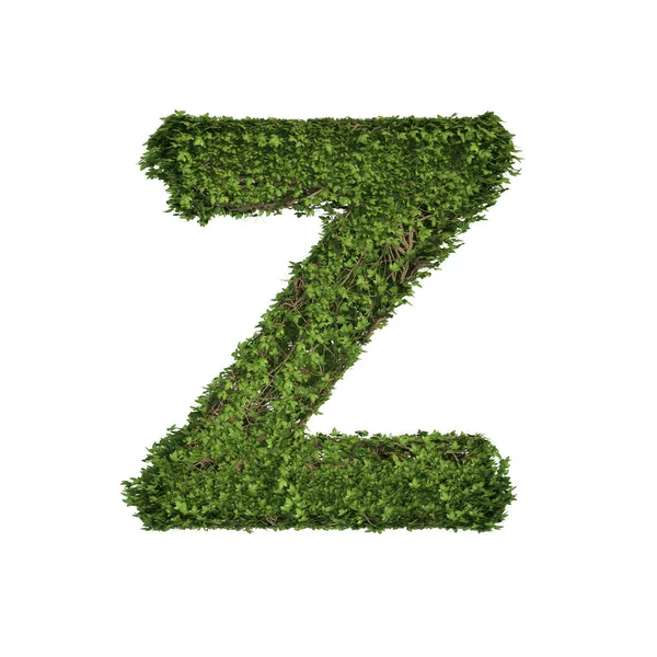 常春藤植物 绿色的爬虫灌木和藤蔓形成字母Z 英文字字体字符隔离在白色的性质 生长和生态环境的概念 3D树示例 — 图库照片