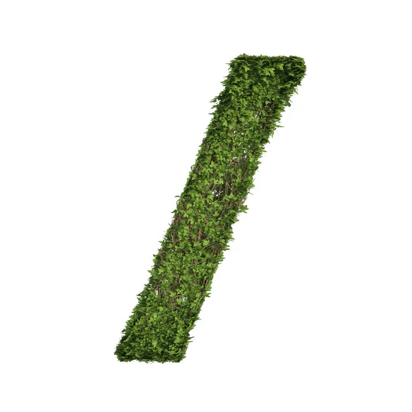 Ivy Rostlina Listy Zelené Keře Popínavý Keř Vinné Révy Tvořící — Stock fotografie