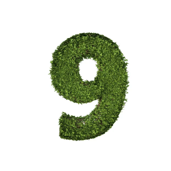 Ivy Roślin Liśćmi Zielony Pnącza Krzak Winorośli Tworzących Numer Dziewięć — Zdjęcie stockowe