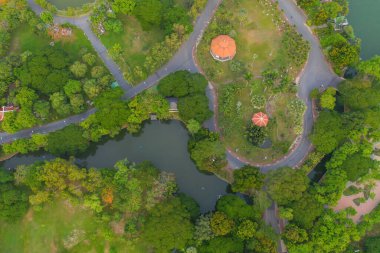 Lumpini park bahçesindeki yeşil ağaçların havadan görünüşü ve yansıması. Akşamüstü Bangkok, Tayland 'da yeşil çevre bölgesi. Çevre doğa manzarası arka planı.
