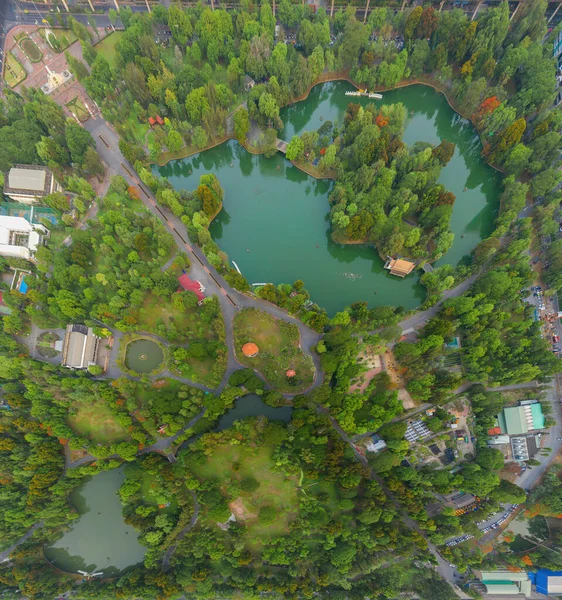 Flygfoto Över Gröna Träd Lumpini Park Trädgård Och Reflektion Grönt — Stockfoto