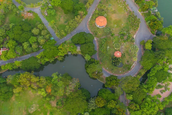 Lumpini park bahçesindeki yeşil ağaçların havadan görünüşü ve yansıması. Akşamüstü Bangkok, Tayland 'da yeşil çevre bölgesi. Çevre doğa manzarası arka planı.