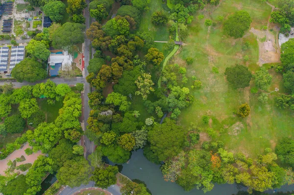 Lumpini park bahçesindeki yeşil ağaçların havadan görünüşü ve yansıması. Akşamüstü Bangkok, Tayland 'da yeşil çevre bölgesi. Çevre doğa manzarası arka planı.