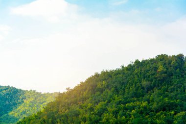 manzara orman nehir görünümü