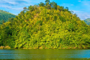 manzara orman nehir görünümü