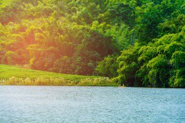 manzara orman nehir görünümü 