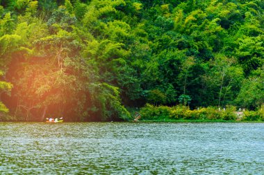 manzara orman nehir görünümü 