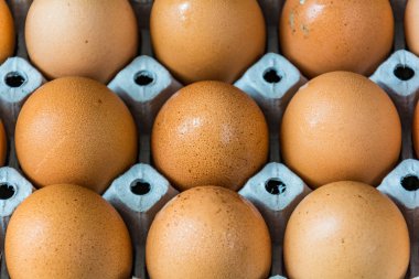 Bir tahta üzerinde taze yumurta 