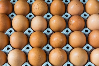 Bir tahta üzerinde taze yumurta 