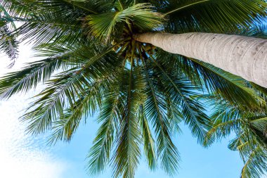 gökyüzü bulut hava ve tatil