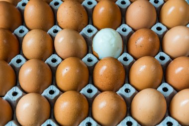 Bir tahta üzerinde taze yumurta 