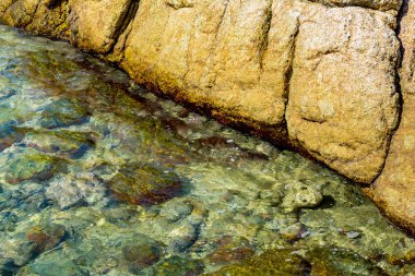 Mavi deniz ve güneş ışığı hareketli bir yansımasıdır 
