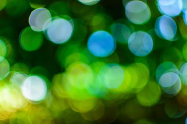 bokeh ağaç ve gökyüzü 