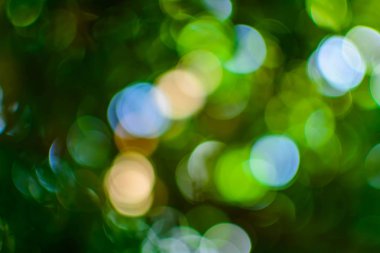 bokeh ağaç ve gökyüzü 