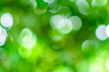 bokeh ağaç ve gökyüzü 