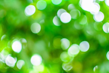 bokeh ağaç ve gökyüzü 