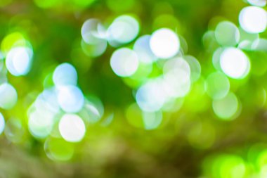 bokeh ağaç ve gökyüzü 