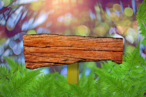 Etiqueta madera Árboles verdes y vegetación de hojas — Foto de Stock