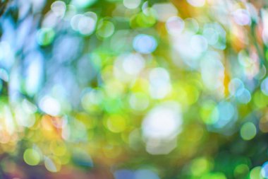 bokeh renkli arka plan 