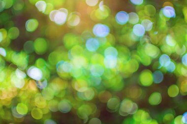 bokeh ağaç arka plan 