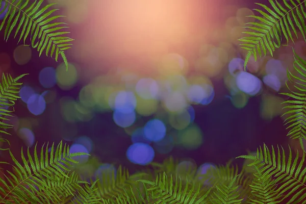 Grüne Bäume und Blattgrün — Stockfoto