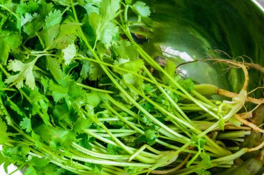 kişniş havzasında alüminyum