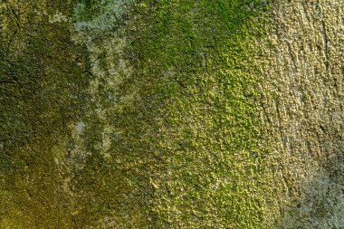 Eski duvarlar çatlama