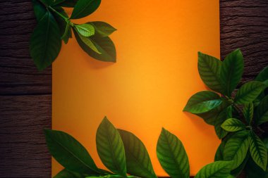 yeşil yaprak üzerinde etiket kağıdı